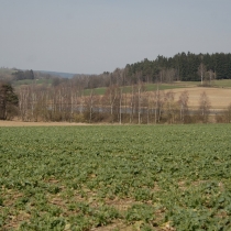 policka-snezne-heralec_01.jpg
