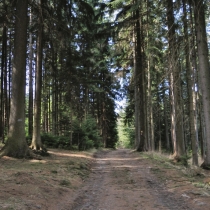 policka-snezne-heralec_04.jpg