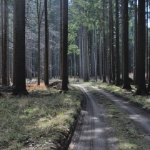 policka-snezne-heralec_10.jpg