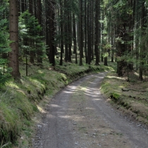 policka-snezne-heralec_11.jpg