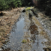 policka-snezne-heralec_15.jpg