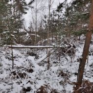 prachovske-skaly-v-zime_020