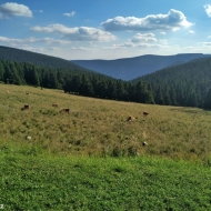 jeseniky-praded_27