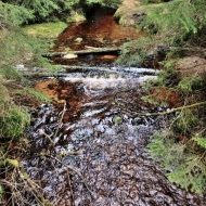 pramen-teple-vltavy_21