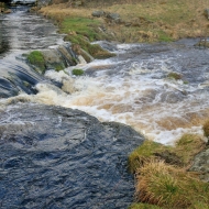 pramen-teple-vltavy_56