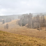 pramen-teple-vltavy_01