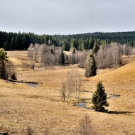 pramen-teple-vltavy_05