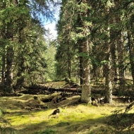 pramen-teple-vltavy_16