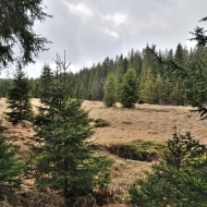 pramen-teple-vltavy_17