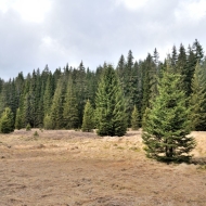 pramen-teple-vltavy_18