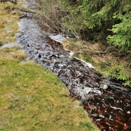pramen-teple-vltavy_22