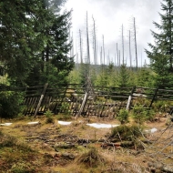 pramen-teple-vltavy_24