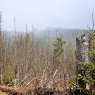 pramen-teple-vltavy_44