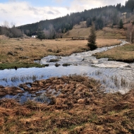 pramen-teple-vltavy_52