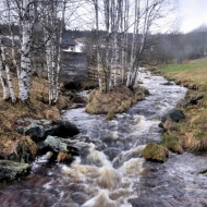 pramen-teple-vltavy_53