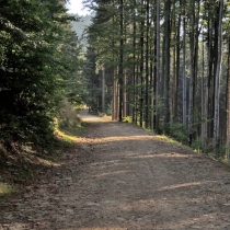 Prašivá (843 m. n. m.)