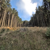Prašivá (843 m. n. m.)