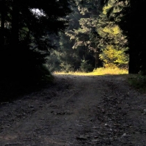 Prašivá (843 m. n. m.)