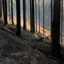 Prašivá (843 m. n. m.)