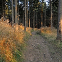 Prašivá (843 m. n. m.)