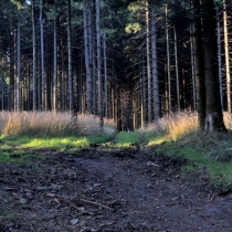 Prašivá (843 m. n. m.)