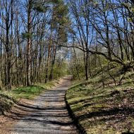 rozhledna-doubravka-praha_01