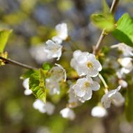 rozhledna-doubravka-praha_18