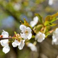 rozhledna-doubravka-praha_19