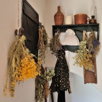 Polabské národopisné muzeum nebo též Skanzen Přerov nad Labem
