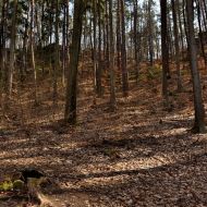 cesky-raj_prihrazske-skaly_04