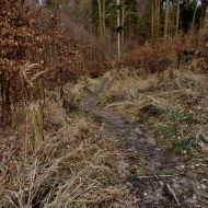 cesky-raj_prihrazske-skaly_100