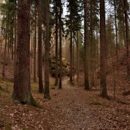 Český ráj | Příhrazské skály 