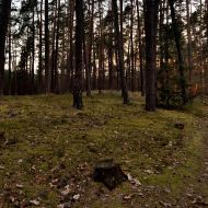 cesky-raj_prihrazske-skaly_108