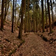 Český ráj | Příhrazské skály | Studený průchod