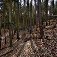 Český ráj | Příhrazské skály |  U Krásné vyhlídky