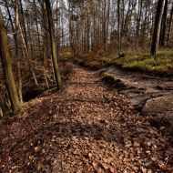 cesky-raj_prihrazske-skaly_50