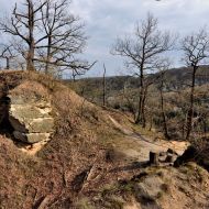 Český ráj | Příhrazské skály |  Staré Hrady a okolí