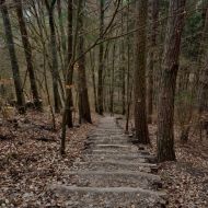 cesky-raj_prihrazske-skaly_82