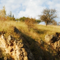 Prokopské údolí
