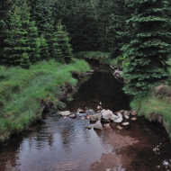 jizerske-hory_blatny-potok