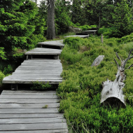 jizerske-hory_cerna-hora_01