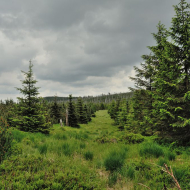 jizerske-hory_holubnik-sedlo_03