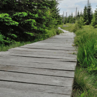 jizerske-hory_holubnik-sedlo_04