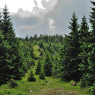 jizerske-hory_holubnik_01