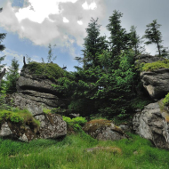 jizerske-hory_holubnik_02