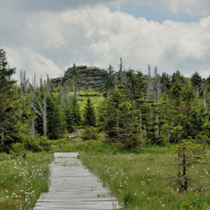 jizerske-hory_holubnik_03