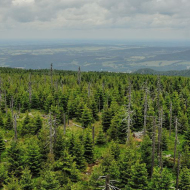 jizerske-hory_holubnik_05