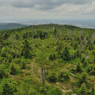 jizerske-hory_holubnik_06