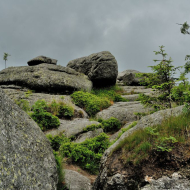 jizerske-hory_holubnik_07