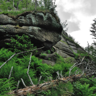 jizerske-hory_ptaci-kupy_01